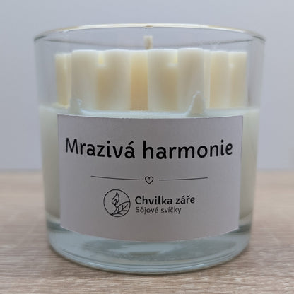 Sójová svíčka Ovocný zelený čaj